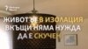 "Използвайте въображението си". Животът под карантина