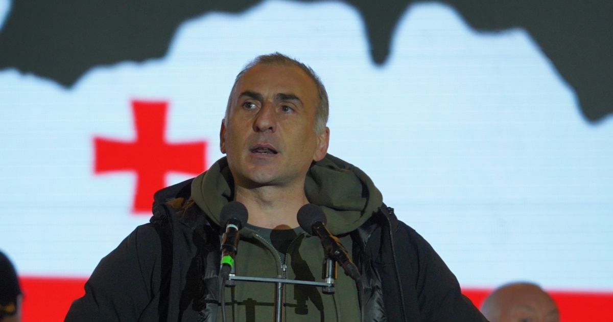 ელისაშვილს კიდევ ერთ, მესამე ბრალს წაუყენებენ - ამბობენ პარტიაში