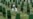 Court Upholds Srebrenica Conviction