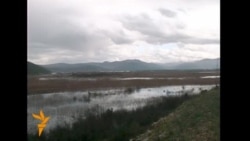 Shkatërrimi i ligatinave në Bosnje