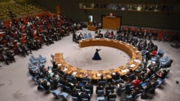 آمریکا خود در پنج ماه و نیم گذشته از آغاز جنگ غزه سه بار پیش‌نویس قطعنامه‌های ارائه شده به شورای امنیت را وتو کرده است
