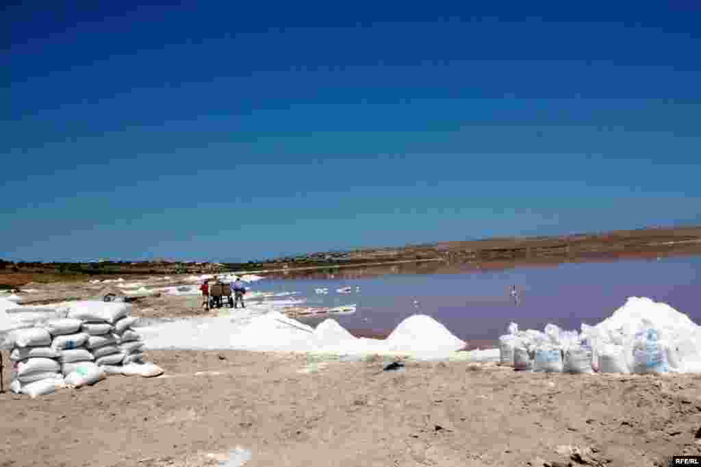 Çörəyi duzdan çıxaranlar #26