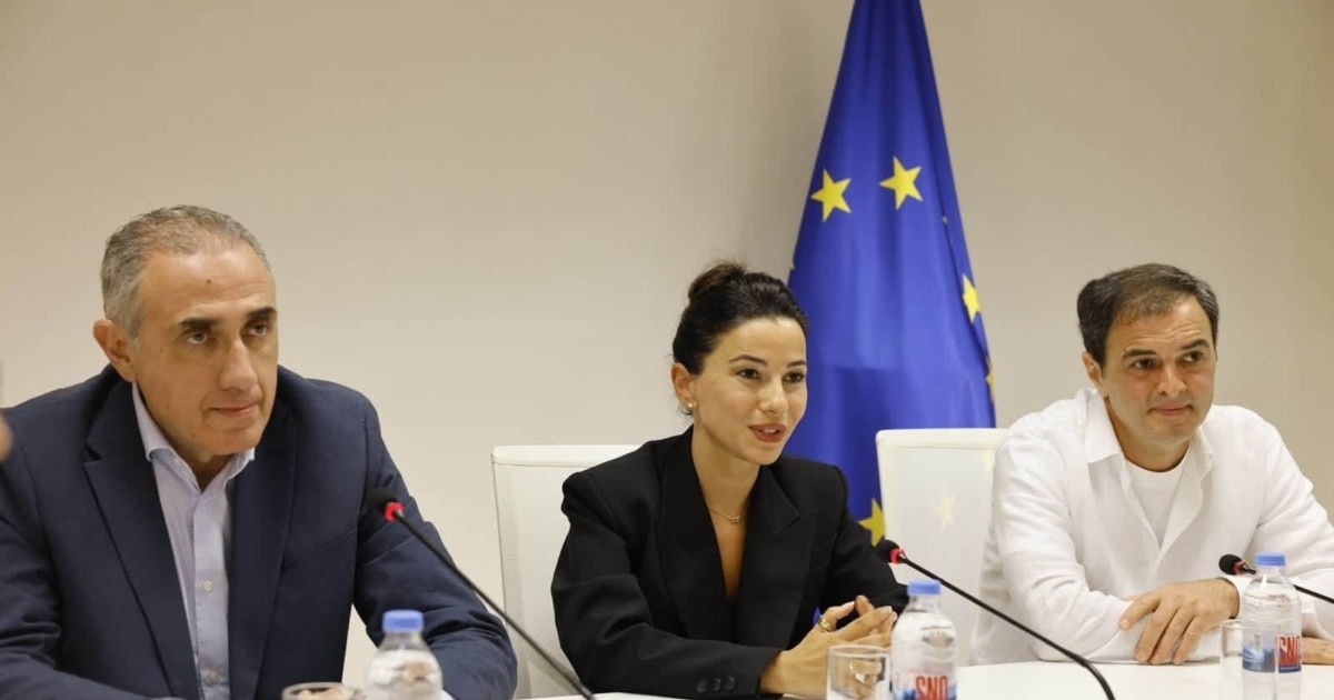 ვარდიაშვილმა ზარდიაშვილი უკვე ოფიციალურად ჩაანაცვლა „ელექტროსისტემის“ დირექტორის პოსტზე