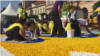 WATCH: Serbian Charity Attempts World Record To Help The Disabled