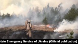 Гасіння лісової пожежі в Житомирській області, квітень 2020 року (фото Державної служби України з надзвичайних ситуацій)