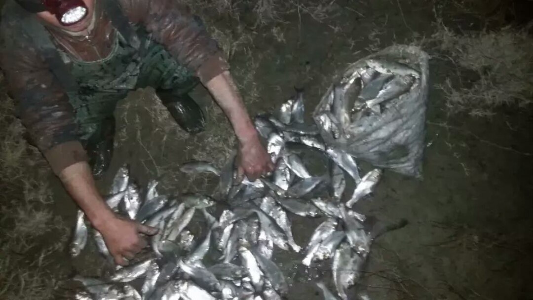 Qora taytlarda jinsiy aloqada bolgan ona va ogil Hammasi ozbekcha seks haqida