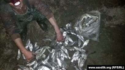 Havaskor uyatchan qiz qoshiladi