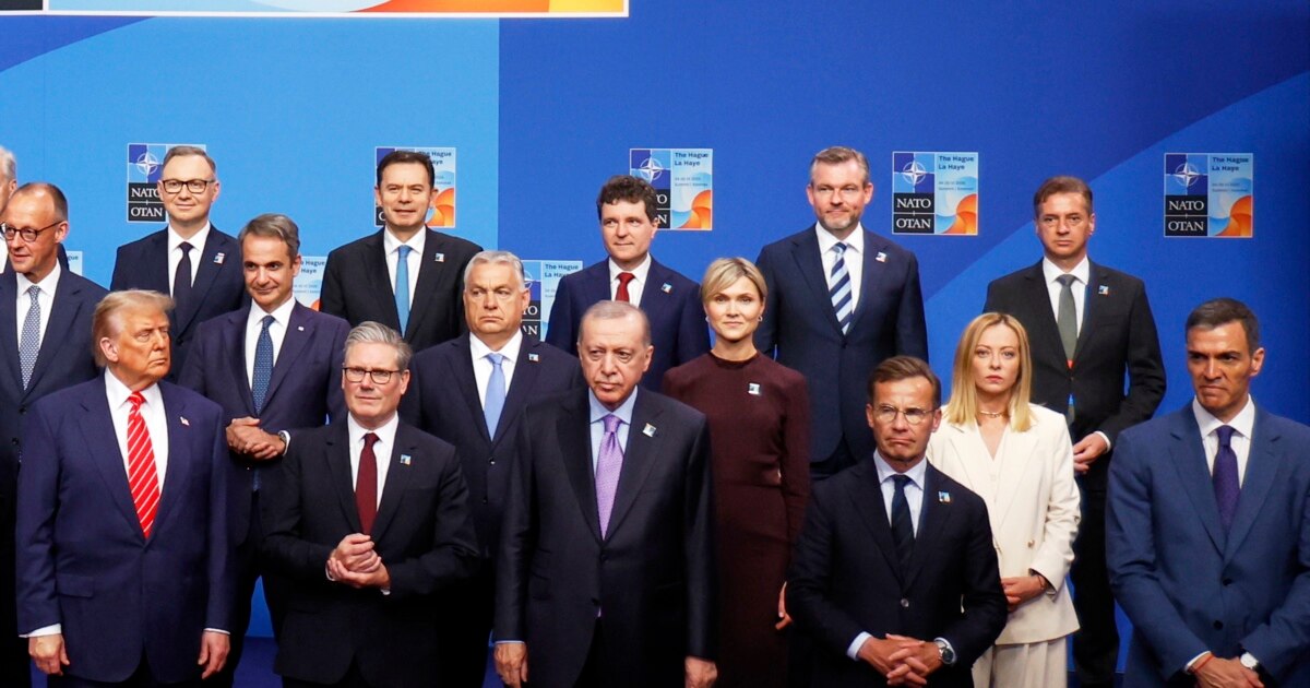 რა წერია ნატოს ჰააგის სამიტის დეკლარაციაში - თავდასხმა ერთზე არის თავდასხმა ყველაზე