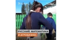Как школьники в сибирской деревне осваивают современные агротехнологии