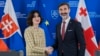 ბოჭორიშვილის შეხვედრა სლოვაკეთის საგარეო საქმეთა მინისტრთან. 2026 წლის 16 თებერვალი
