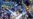 Ukrainian Political Tensions Resurface Over Irreverent Soccer Chants