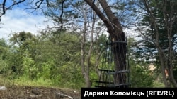 Каштан, який оповив залізний паркан, знесений вибуховою хвилею, Київ, 19 червня 2026 року