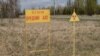 Пожежу в «Чорнобильській пущі» загасили, радіаційна обстановка стабільна – ДСНС