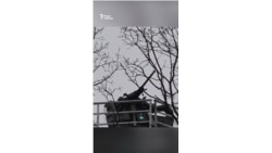 Частная ПВО в Украине