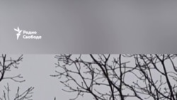 Частная ПВО в Украине