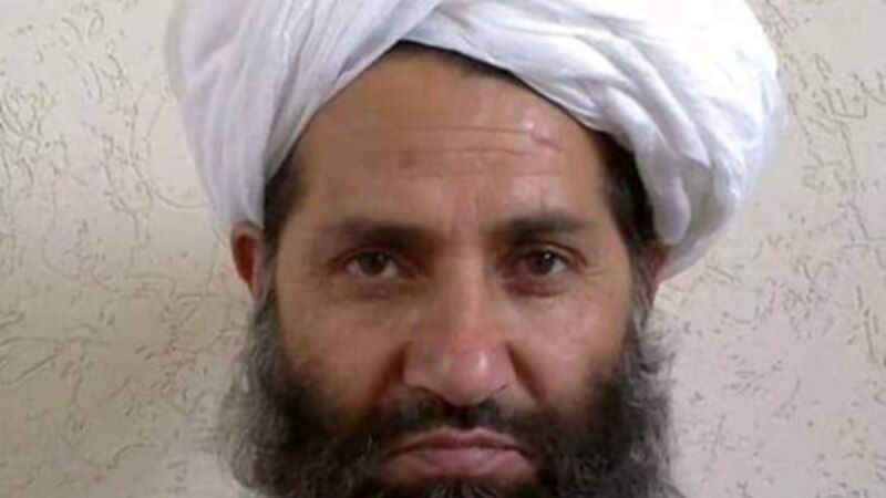 Талиб лидери эл аралык коомчулукту өлкө бийлигин таанууга чакырды