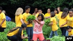 میشل اوباما د ښه صحت پر کمپین 