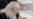 Putin Grants Alekseyeva State Award For Human Rights