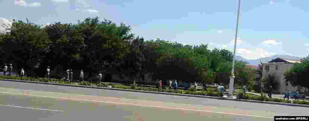 Haşal otlary ýygnamak üçin getirilen adamlar