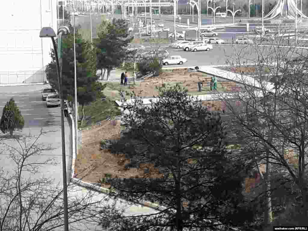 Aşgabatda bag nahallary ekilýär.