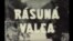 „Răsună valea”(1950), unul dintre primele filme de propagandă comunistă. Printre actori se remarcă Radu Beligan, reprezentantul caricatural al clasei burghezo-intelectuale decadente.