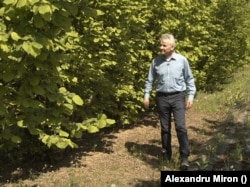 Florin Stănică, profesor universitar în Horticultură la Universitatea de Agronomie din București, este gata să-i sfătuiască pe fermieri.