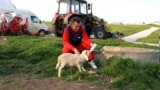 Moldova: Lilian Racicovschi raises sheep and goats in the village of Hârtop