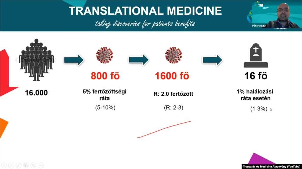 Részlet Dr. Hegyi Péter 2020. november 11-én megtartott járványügyi előadásából. 