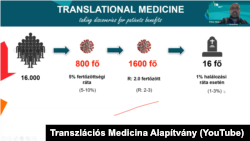 Részlet Dr. Hegyi Péter 2020. november 11-én megtartott járványügyi előadásából. 