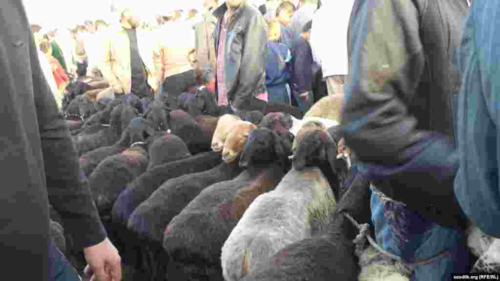 Душанбе яқинидаги Ваҳдат тумани қўй бозори