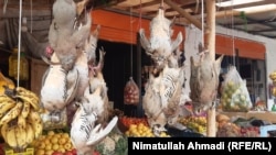 Markets in Badakhshan are full of birds killed by amateur hunters who flock to the province for its rare wildlife.