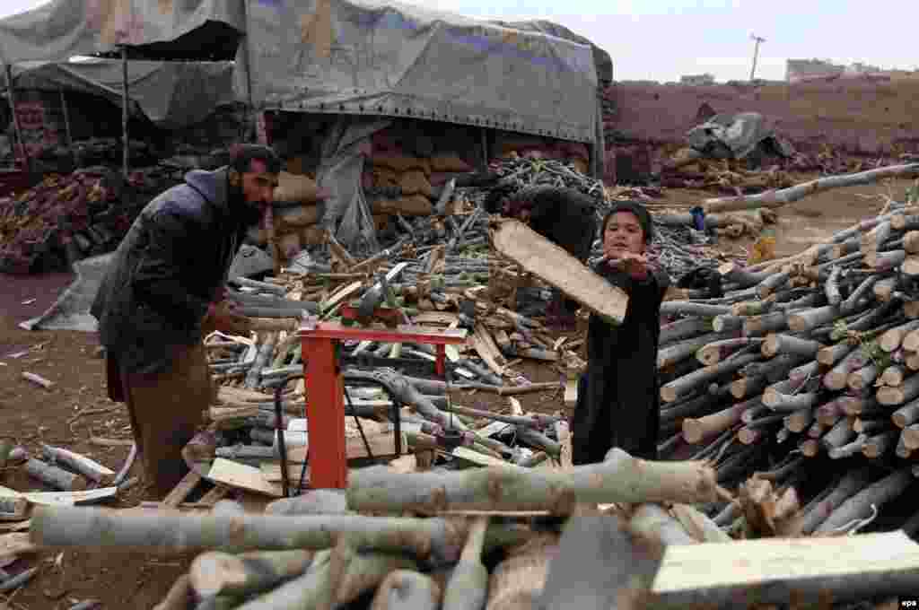 Afghan men sell firewood on the outskirts of Herat. (epa/Jalil Rezayee)