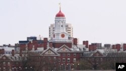 ჰარვარდის უნივერსიტეტი