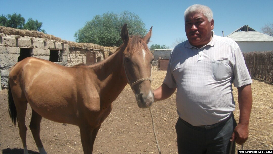 Жыныстық қатынас кезінде импульс баяулайды. Сперматозоидтар антераға қарай жылжиды