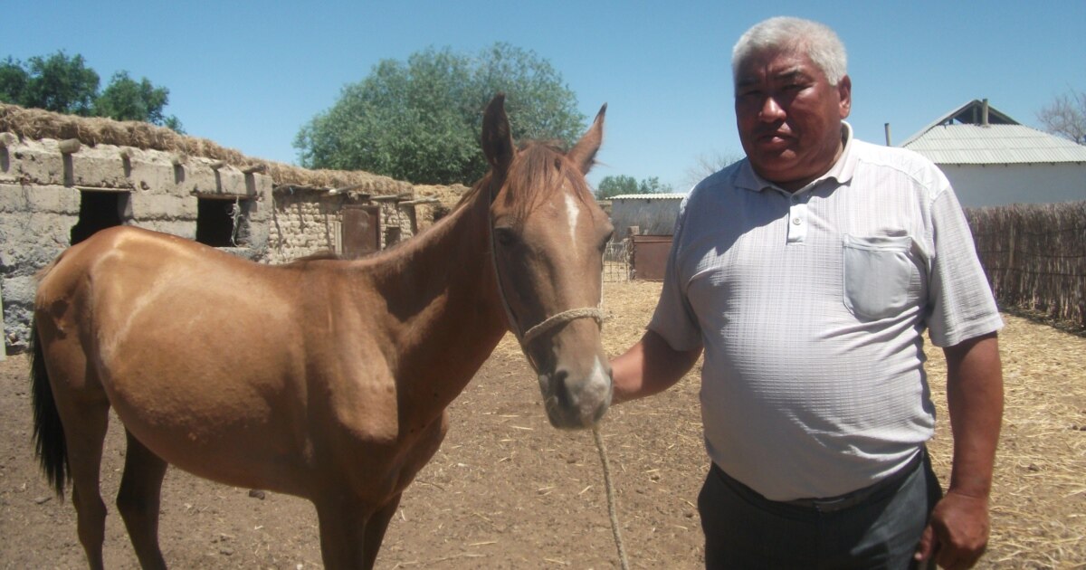 Жалаңаш фин қызы