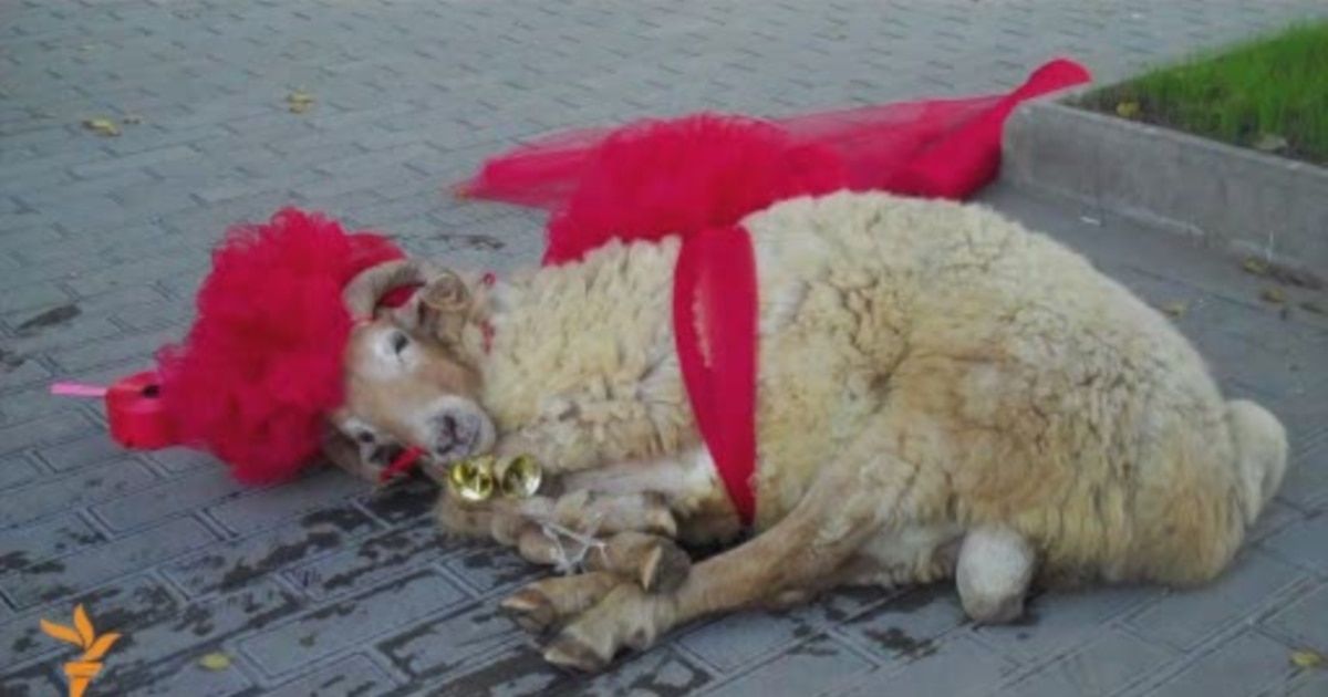 Muslim Hajj Pilgrims Perform Devil-Stoning Ritual