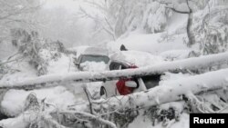 Vehicles stuck under fallen trees are seen on a snowy road, in Murree, Pakistan, on January 8.