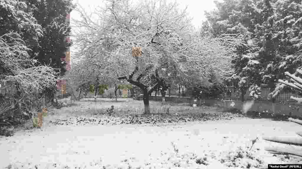 Барфи аввал дар шаҳри Бохтар, 8 декабри соли 2020