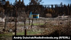 Зупинка «Смолянинове» між лісом, з якого прийшов вогонь, та найбільш постраждалою вулицею Піщана