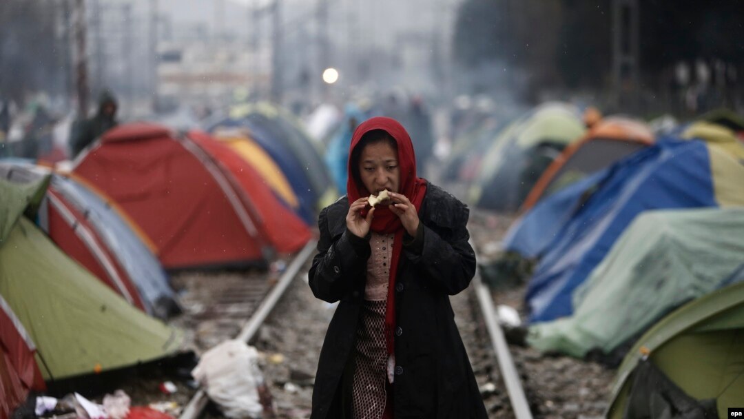 Migrantët në kufirin Greqi - Maqedoni