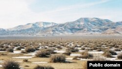 Фота Паўла Церашкаўца з MailOnline