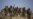 NATO 'Likely' Caused Pakistan Casualties