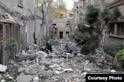 بخشی دیگر از انستیتو پاستور