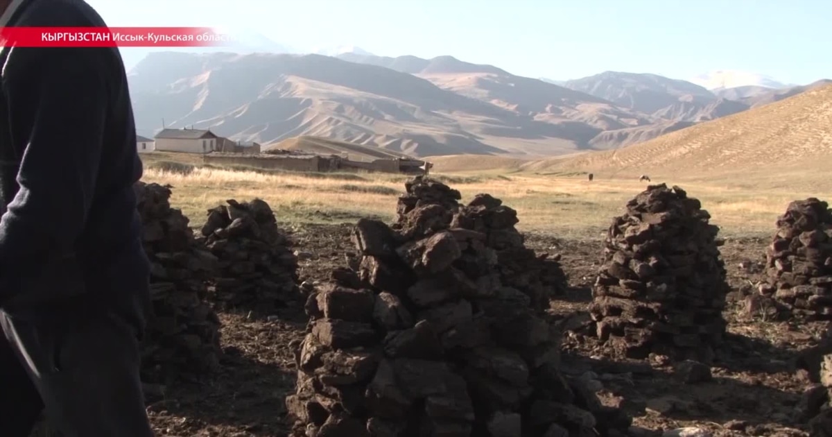 Легинстердің порнофотосуреттері