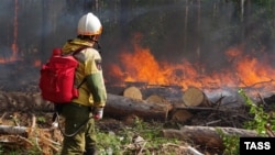 Сотрудник ФБУ «Авиалесоохрана» на месте природного пожара в Якутии, август 2021 года