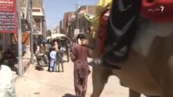 په کوټه کې د ماشومانو لپاره د اختر مېله