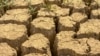 Засуха в Крыму, архивное фото