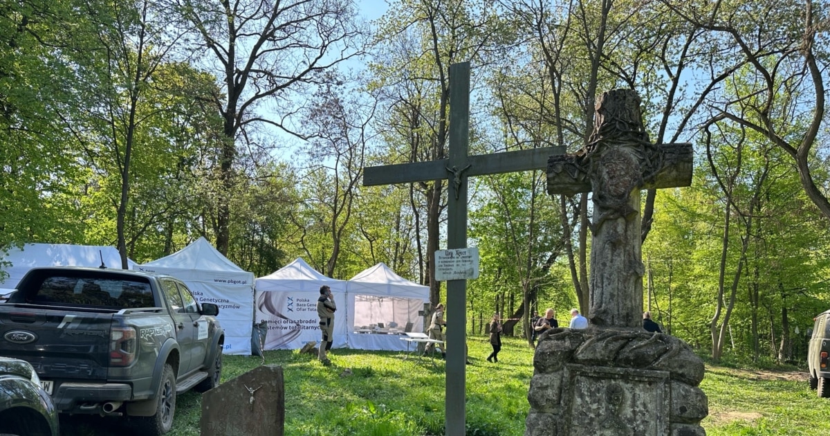 польська сторона повідомила про виявлення останків 42 людей польська сторона повідомила про виявлення останків 42 людей