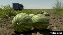 The Kherson region is known for its rich farmland and sweet watermelons. (file photo)