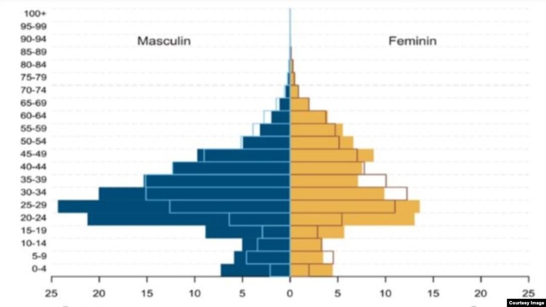 Institutul Național de Statistică- fenomenul migrației